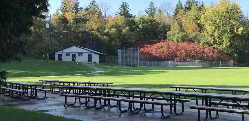 Lowville Park picnic - Tourism Burlington Tourism Burlington