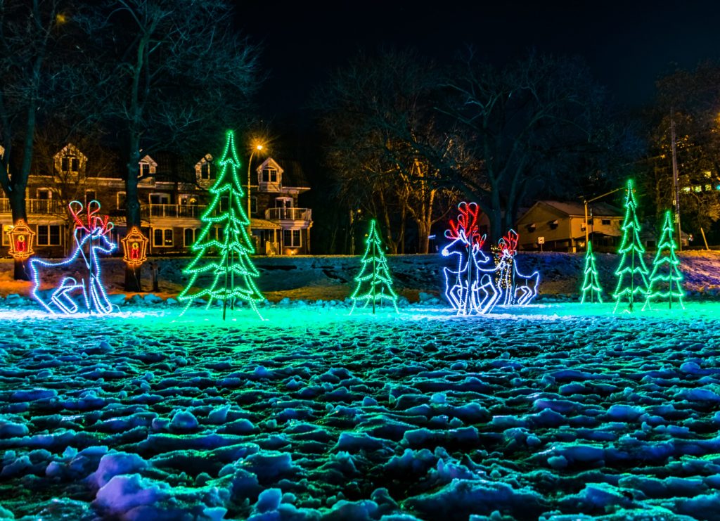 Holiday lights with snow at Spencer Smith Park