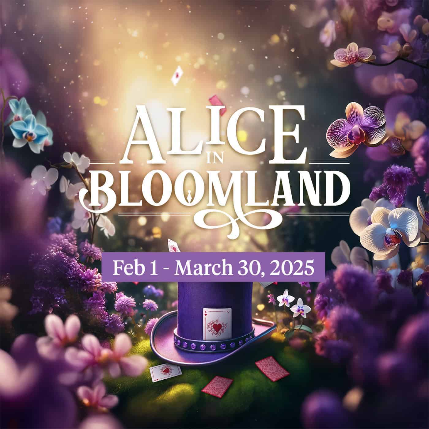 Alice in Bloomland